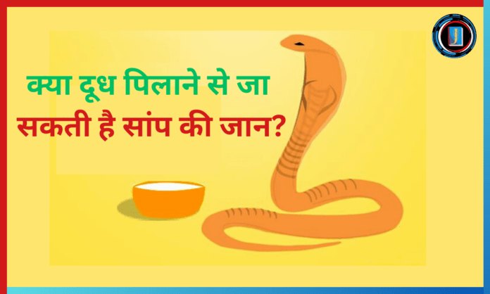 Snake Feed Milk on Nagpanchami