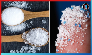 Micro Plastic in Sugar And Salt